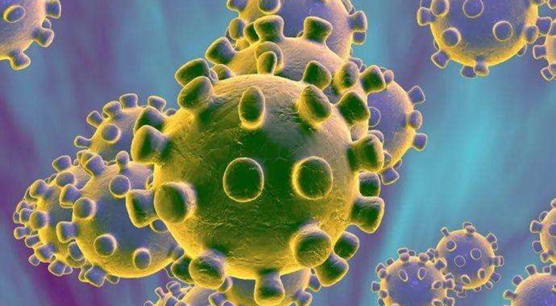 好勝特鋼春節(jié)復工延遲通知